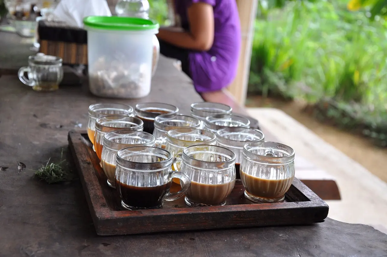 Coffee tasting
