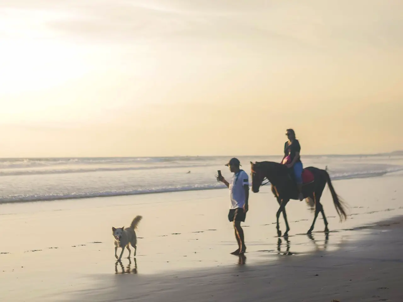 Horse riding, Bali