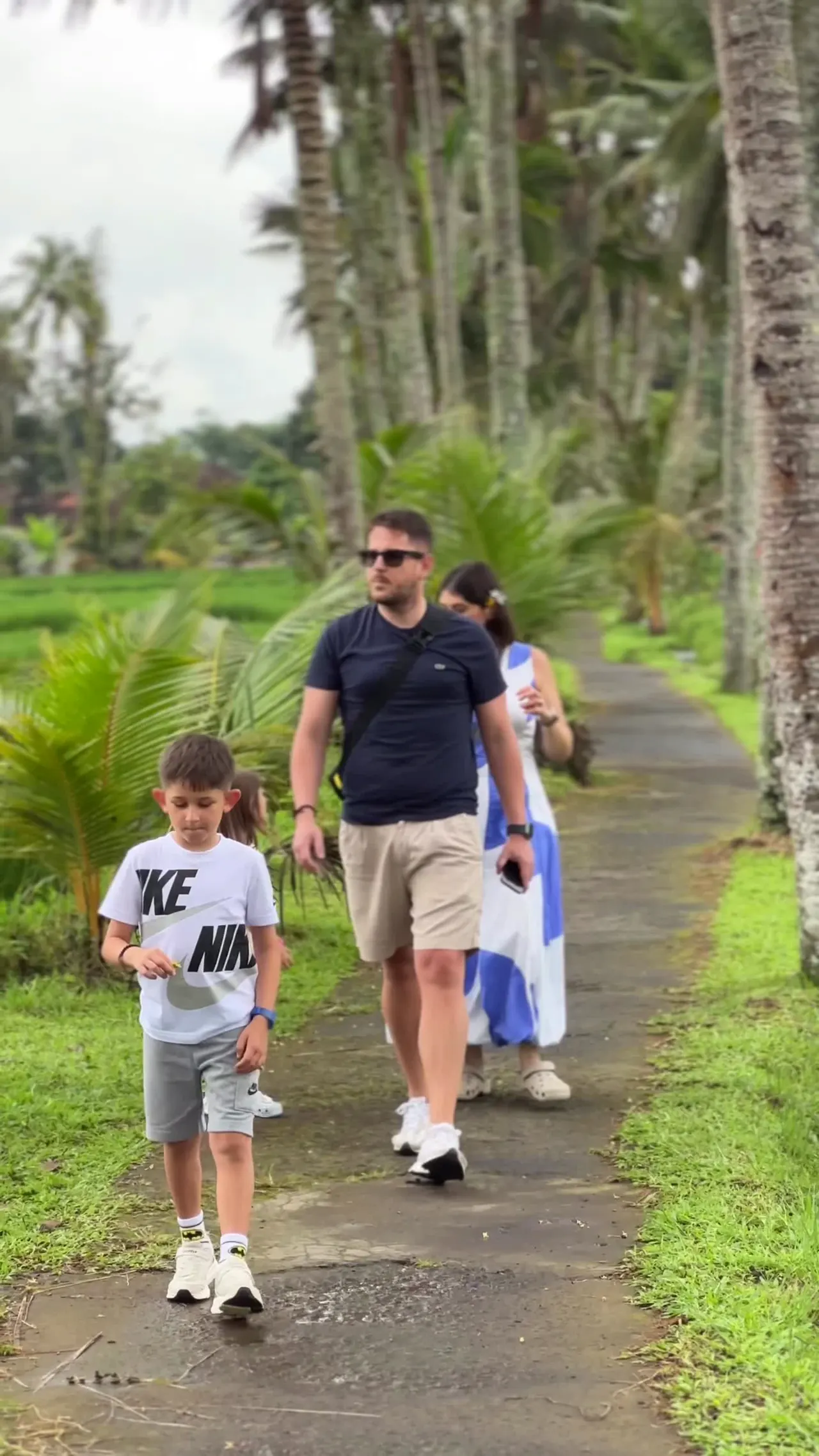Family walking a concrete path through rice fields lined with palms